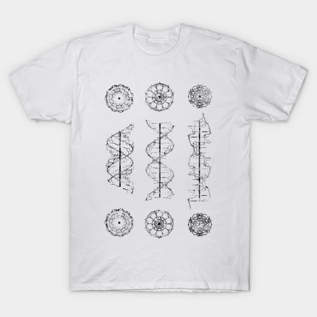 A-,B-, and Z-DNA T-Shirt by erzebeth